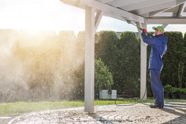 Best Gutter Cleaning  in Rockton, IL